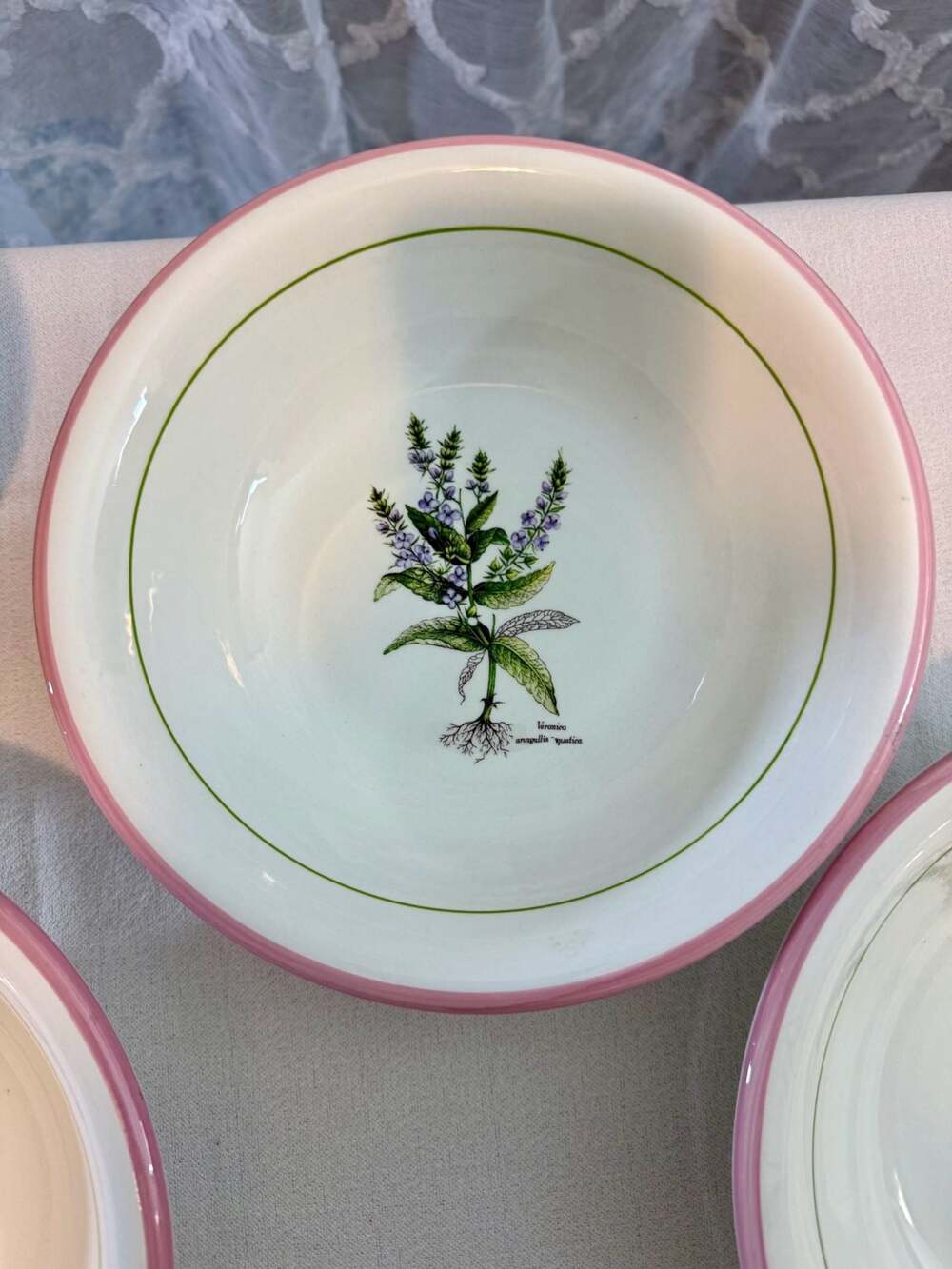 Set of 4 Large Primula Italian Botanical Soup Bowls - Picture 5 of 13